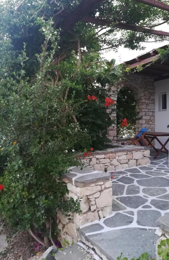 Sundeck Daire Drios Dış mekan fotoğraf