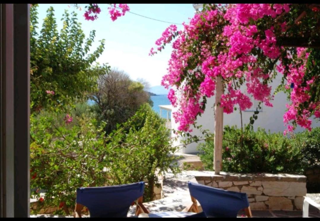 Sundeck Daire Drios Dış mekan fotoğraf