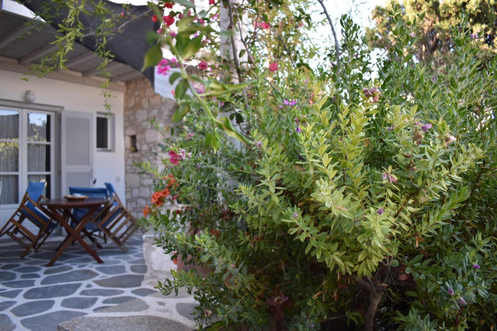 Sundeck Daire Drios Dış mekan fotoğraf