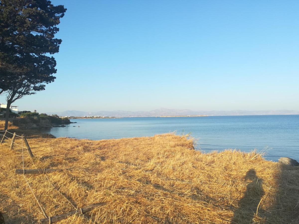 Sundeck Daire Drios Dış mekan fotoğraf